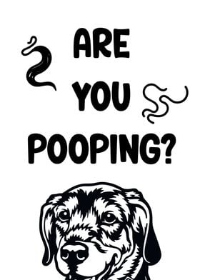 Are you pooping dog