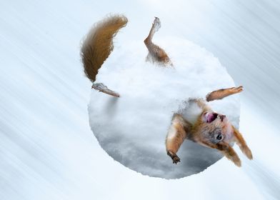 Squirrel Snowball