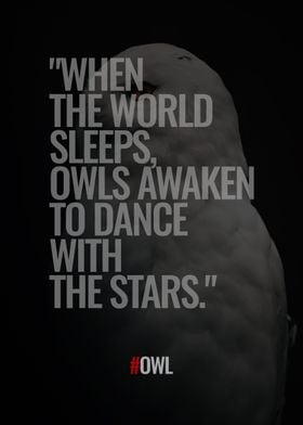 Quotes about Owls