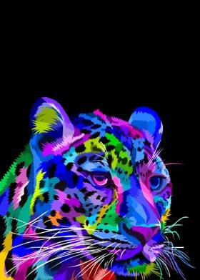 Animal Cheetah