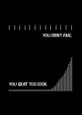 You did not fail