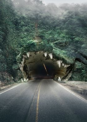 Crocodile tunnel
