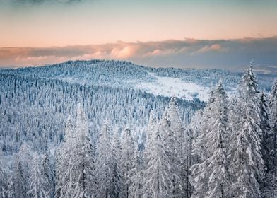 Winter Slovak Mountains