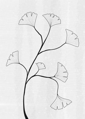 Flower Drawing