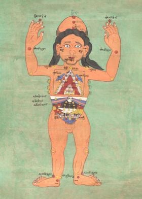 Tibet human body chart