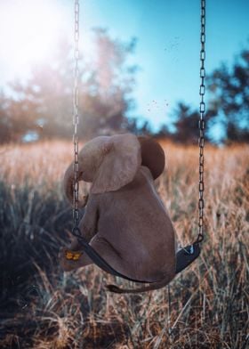 Baby Elephant on Swing