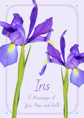 Iris Love Hope Faith