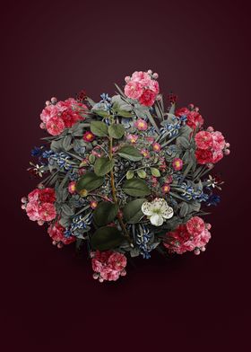 Caper Plant Flower Wreath