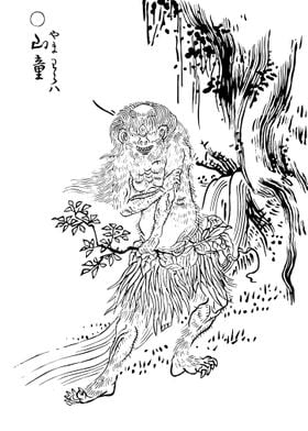 Toriyama Sekien Yamawaru