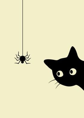 Cat and Spider