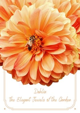 Dahlia Elegant Jewels