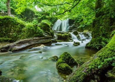 Waterfalls in Forest green