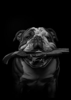 Bulldog