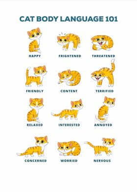 Cat Language poster