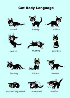 Cat Body Language art