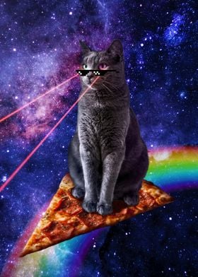 Cat Space and Pizza