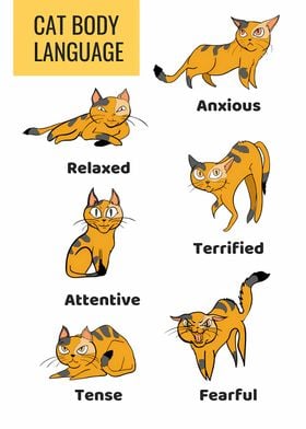 Cat Body Language art