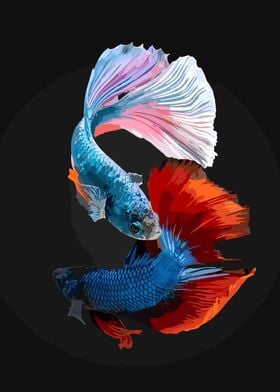 fish vector