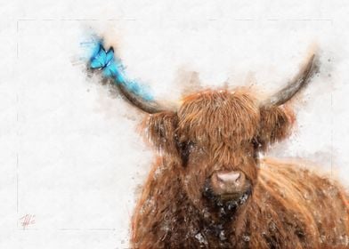 Highland Cattle and Butter