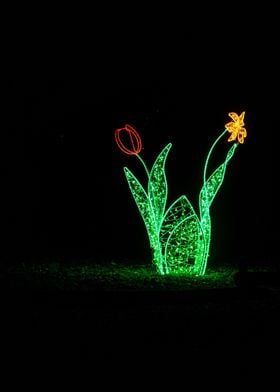 Light Flower in dark