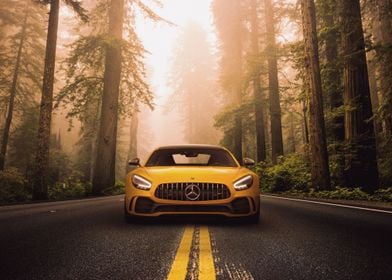 Yellow Mercedes AMG trees