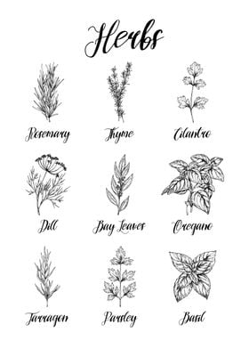 Spices and Herbs Guide