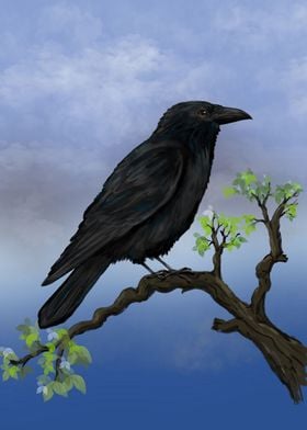 Raven on a branch Digital 
