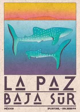 La Paz Baja Sur