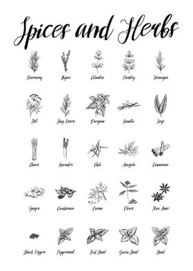 Spices and Herbs Guide