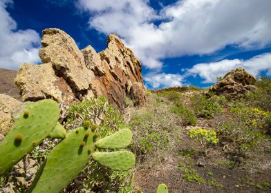 View of island Lanzarote