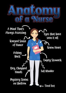 Anatomy Of A Nurse