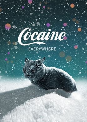 Cocaine Everywhere Cat