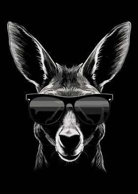 Kangaroo Sunglasses Cool
