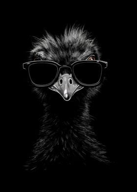 Emu Cool Sunglasses Cool