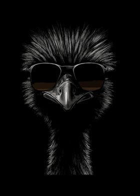 Emu Sunglasses Cool Dj