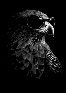 Falcon Sunglasses Cool Dj