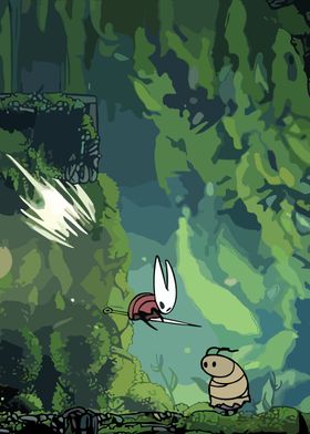 hollow knight