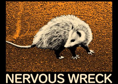 Nervous Wreck Opossum
