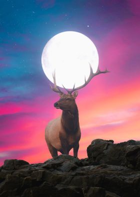 Moon Deer