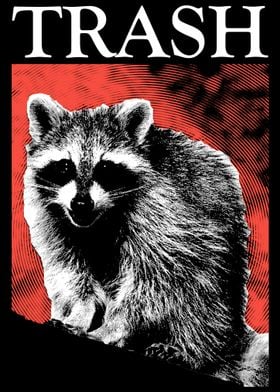 Vintage Red Trash Raccoon
