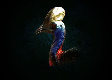 Southern cassowary