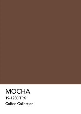 Mocha Coffee Pantone Color