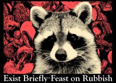 Feast on Rubbish Raccoon