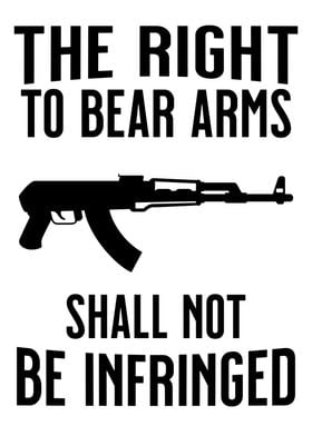 RIGHT TO BEAR ARMS GREY