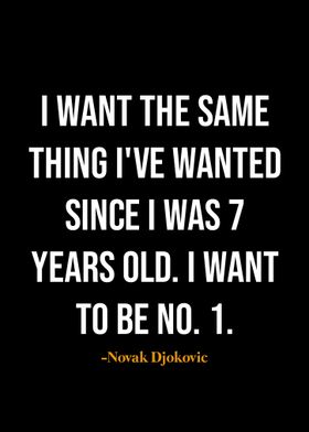 Novak Djokovic quotes 