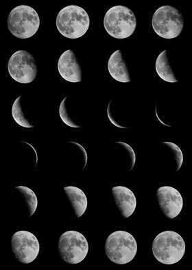 Moon Phases Collage