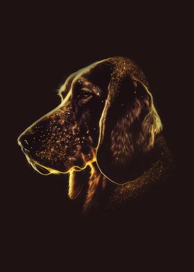 Bloodhound dog