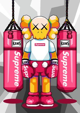 Kaws Boxing