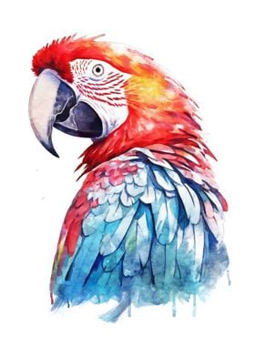 Scarlet Macaw Watercolor