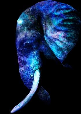 ELEPHANT COLORMANIPULATION